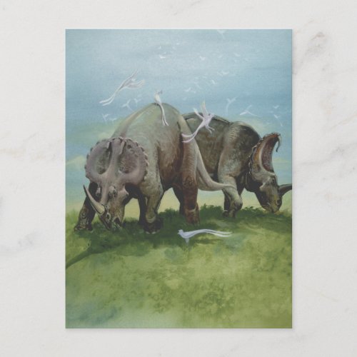 Vintage Dinosaurs Centrosaurus Grazing in Meadow Postcard