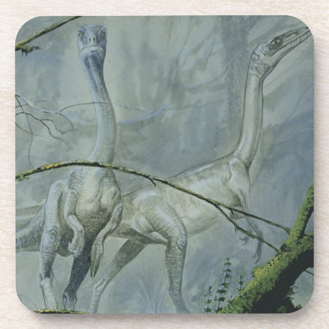 Vintage Dinosaurs, Megapnosaurus aka Syntarsus Coaster (Front)