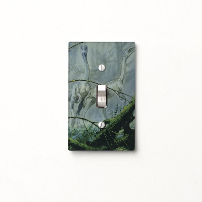 Vintage Dinosaurs, Megapnosaurus aka Syntarsus Light Switch Cover (In Situ)