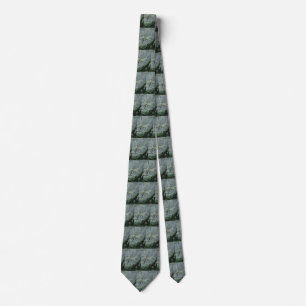Vintage Dinosaurs, Megapnosaurus aka Syntarsus Neck Tie