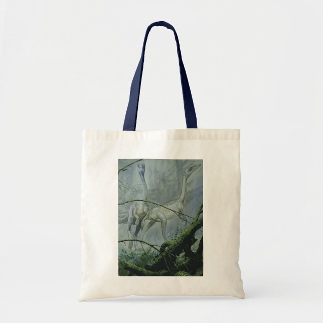 Vintage Dinosaurs, Megapnosaurus aka Syntarsus Tote Bag (Front)