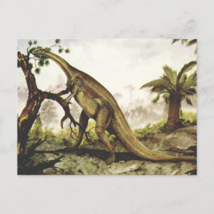 Vintage Dinosaurs, Plateosaurus Grazing on Trees Postcard