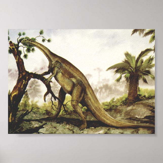 Vintage Dinosaurs, Plateosaurus Grazing on Trees Poster (Front)