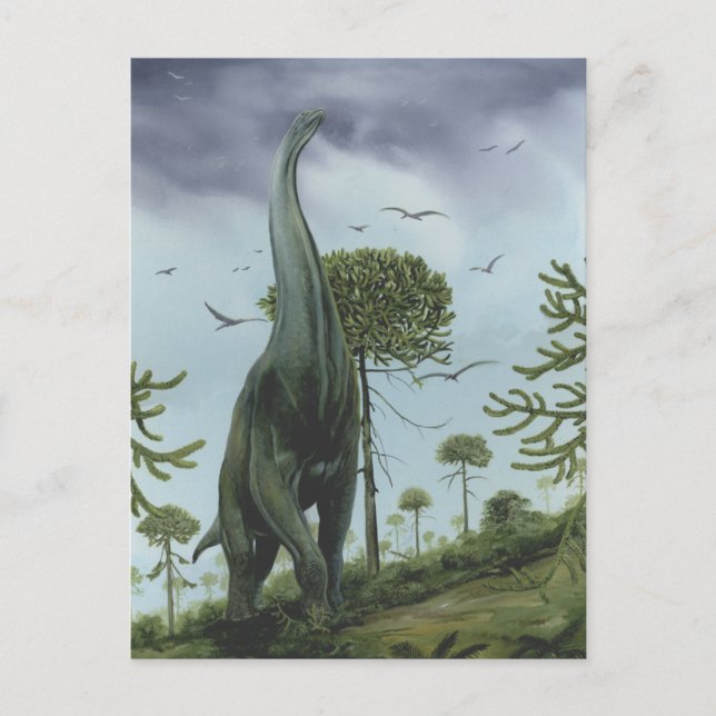 Vintage Dinosaurs, Sauroposeidon with Birds Flying Postcard (Front)