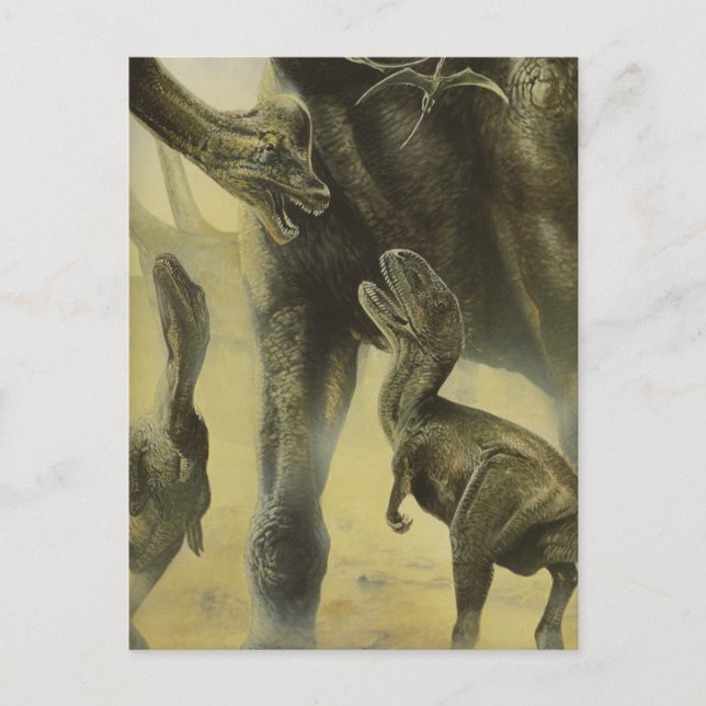Vintage Dinosaurs, Torvosaurus and Brachiosaurus Postcard (Front)