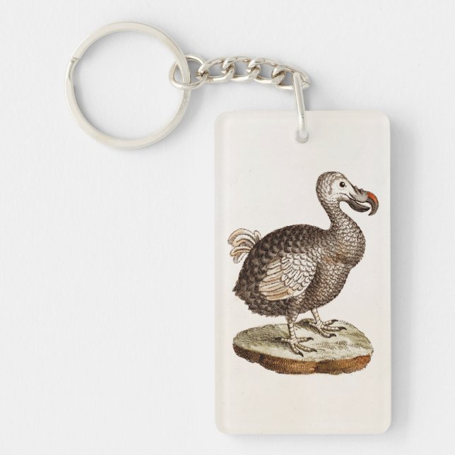 Vintage Dodo Bird Illustration 1700s Dodo Birds Keychain (Front)