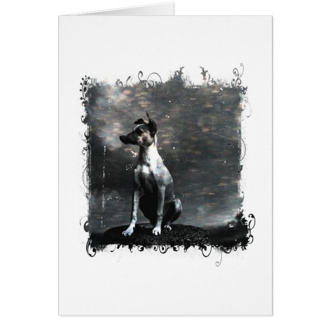 Vintage Dog All Occasions Cards (Front)