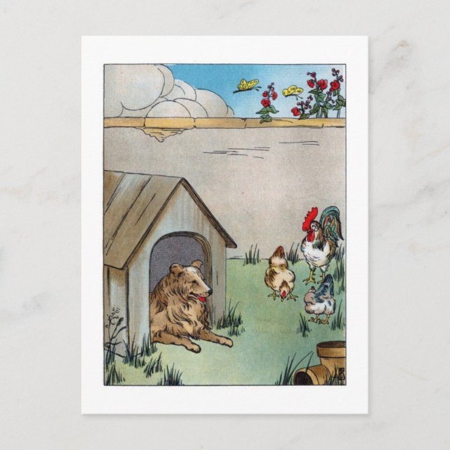 Vintage Dog and Chickens Postcard (Front)