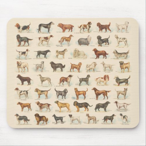 Vintage Dog Breed Drawings Mouse Pad