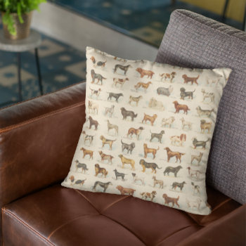 Vintage Dog Breed Drawings Patterned Throw Pillow by jennsdoodleworld at Zazzle