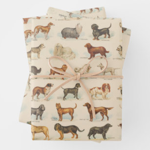 Vintage Dog Breed Drawings Patterned Wrapping Paper Sheets