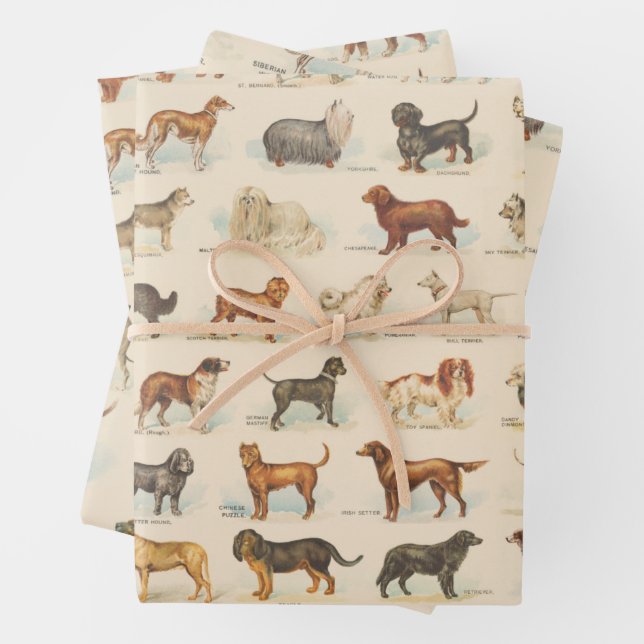 Vintage Dog Breed Drawings Patterned Wrapping Paper Sheets (In situ)