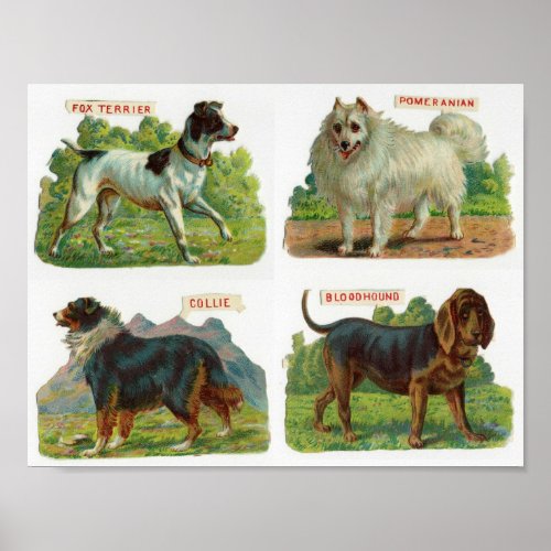 Vintage Dog Breed Illustration Poster