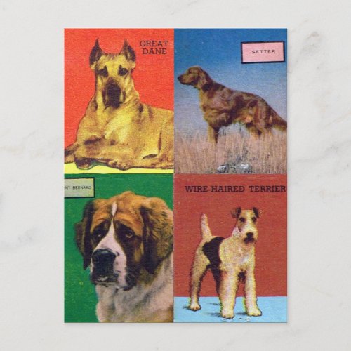 Vintage Dog Breeds Macthbook Cover Postcard
