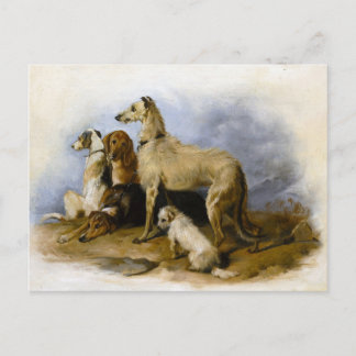 Vintage Dog Breeds Print Postcard