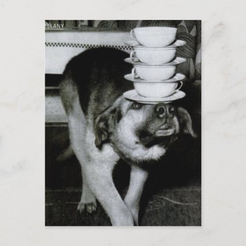 Vintage Dog Carrying Cups and Saucers on Nose Postcard