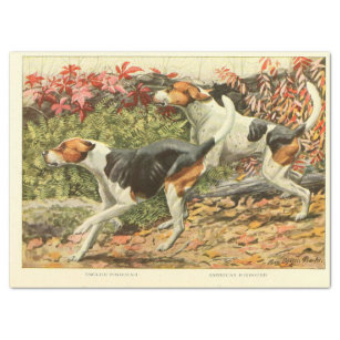 Vintage Dog Ephemera Decoupage English Foxhounds Tissue Paper
