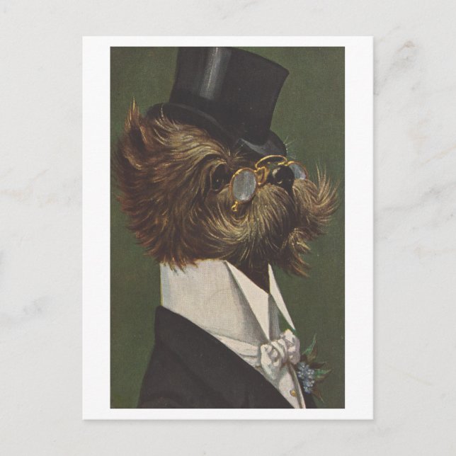 Vintage Dog in Evening Clothes with Glasses Postcard