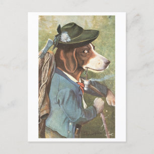 Vintage Dog in Hiking Clothes Postcard