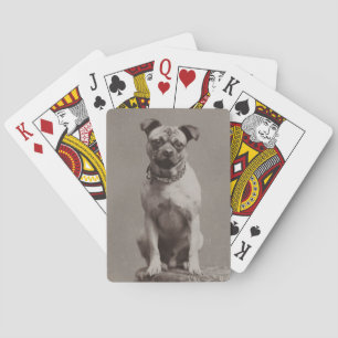 Vintage Dog Poker Cards