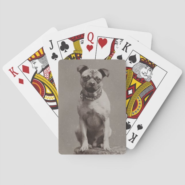Vintage Dog Poker Cards (Back)