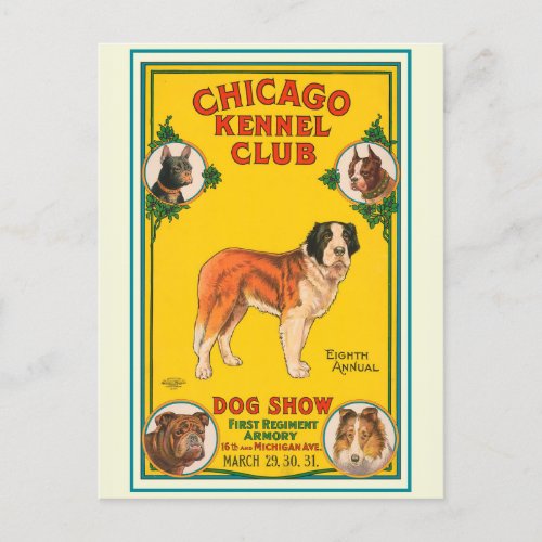 Vintage Dog Show Chicago Kennel Club Poster Postcard