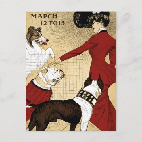 Vintage Dog Show Illustration Art Old Antique Postcard