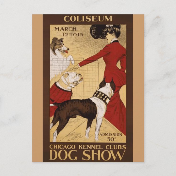 Vintage Dog Show Postcard Zazzle