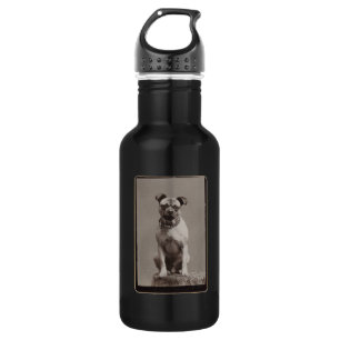 Vintage Dog Stainless Steel Water Bottle