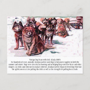 "Vintage Dog Team: Alaska" Postcard