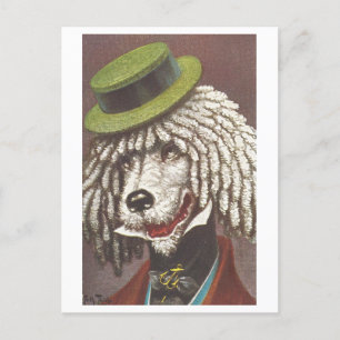 Vintage Dog with Hat Postcard