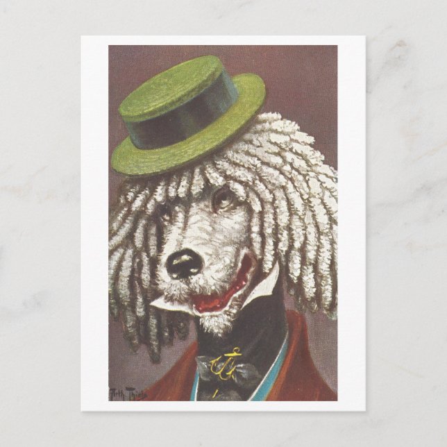 Vintage Dog with Hat Postcard (Front)