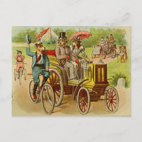 Vintage Dogs Riding Bikes and Cars Postcard