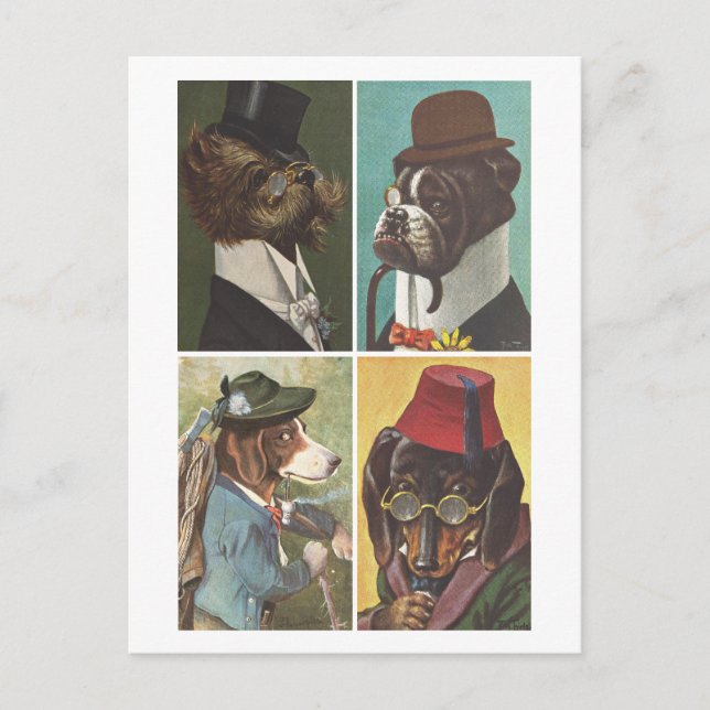 Vintage Dogs Wearing Clothes Postcard (Front)