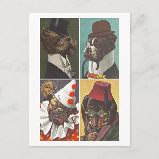 Vintage Dogs Wearing Clothes Postcard (Front)