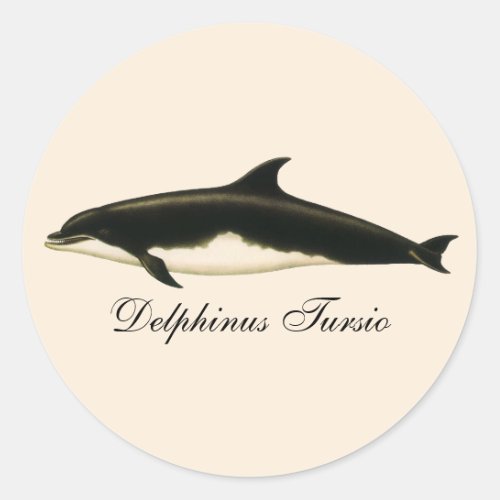 Vintage Dolphins Delphinus Tursio Marine Mammals Classic Round Sticker