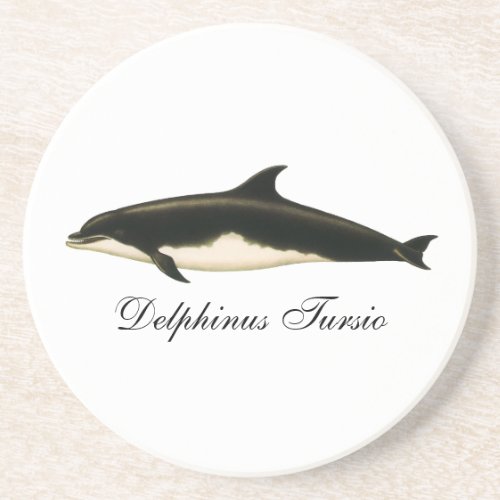 Vintage Dolphins Delphinus Tursio Marine Mammals Drink Coaster