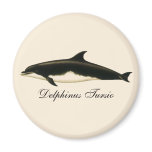 Vintage Dolphins Delphinus Tursio, Marine Mammals Magnet