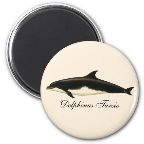 Vintage Dolphins Delphinus Tursio Marine Mammals Magnet