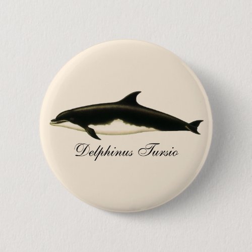 Vintage Dolphins Delphinus Tursio Marine Mammals Pinback Button