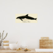 Vintage Dolphins Delphinus Tursio, Marine Mammals Poster (Kitchen)