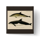 Vintage Dolphins, Marine Animals and Mammals Button