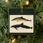 Vintage Dolphins, Marine Animals and Mammals Ceramic Ornament