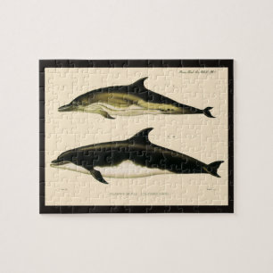 Vintage Dolphins, Marine Animals and Mammals Jigsaw Puzzle