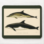 Vintage Dolphins, Marine Animals and Mammals Mouse Pad