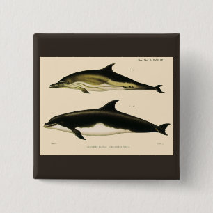 Vintage Dolphins, Marine Mammals Animals  Button