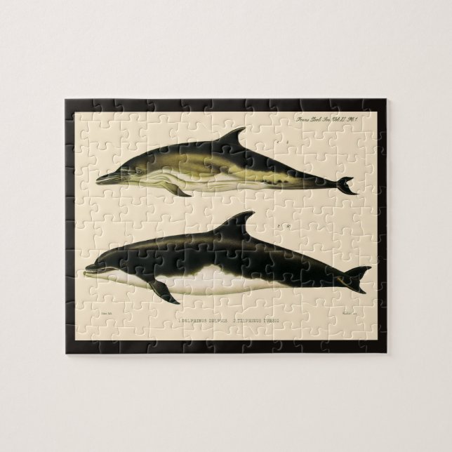 Vintage Dolphins, Marine Mammals Animals  Jigsaw Puzzle (Horizontal)