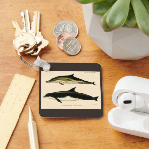 Vintage Dolphins, Marine Mammals Animals Keychain