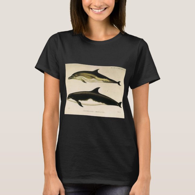 Vintage Dolphins, Marine Mammals Animals  T-Shirt (Front)