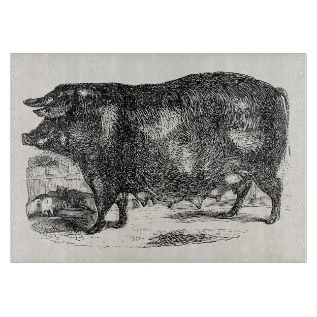 Vintage Domestic Pig Piglets Personalized Animals Cutting Board (Front)